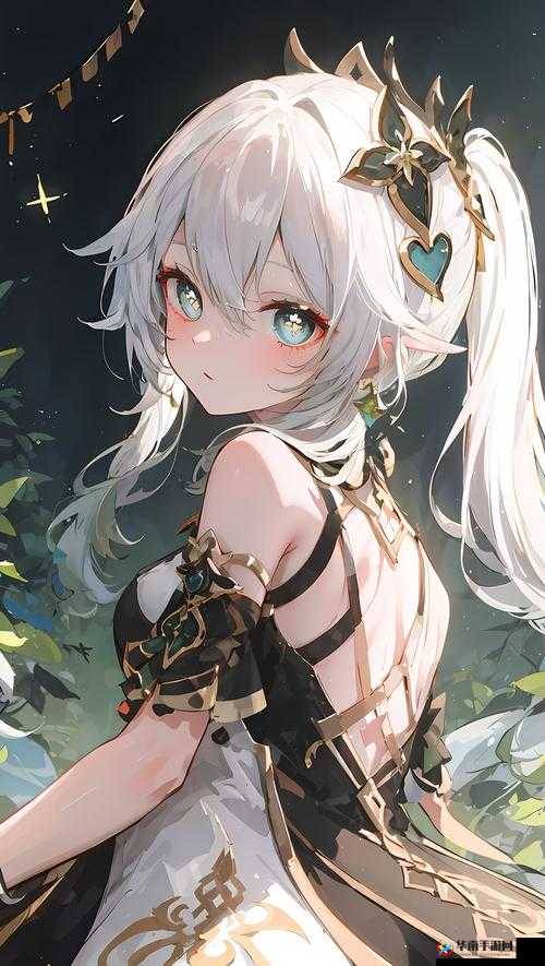 b 站入口直接进入然后开启精彩二次元之旅