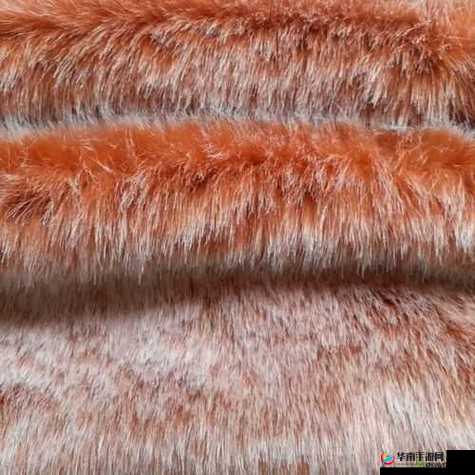 AAAA 级毛皮：纯或仿？这是一个值得深入探讨的问题