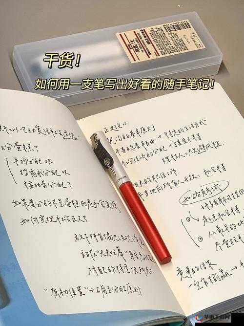 一支笔如何 C 哭自己：探寻其中的深层情感奥秘