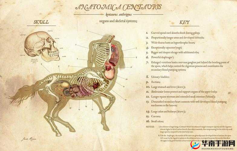 人马畜禽相关行业发展新态势探讨：人马畜禽 Company Limited 的机遇与挑战