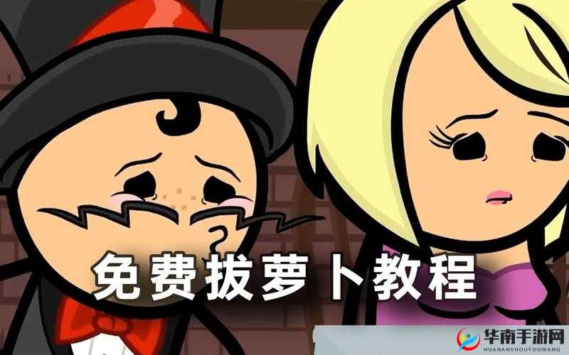 拔萝卜打牌不盖被子：趣味生活中的各种小趣事