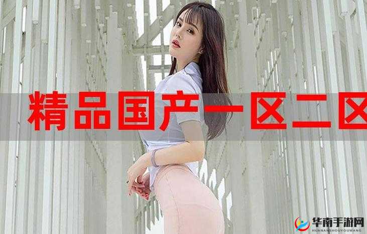 国精产品自偷自偷 2024 之独特魅力呈现