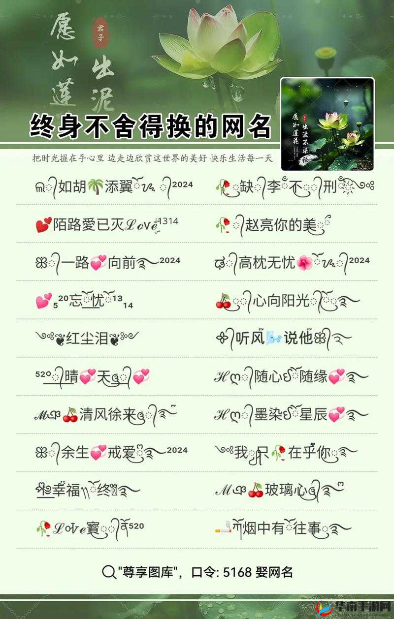 大象视频最新永久网名：带你领略不一样的精彩世界