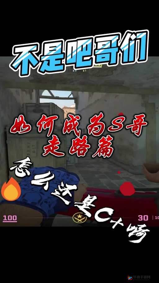 单亲妈妈玩 csgo：展现坚韧与热爱的游戏之旅