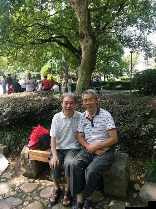 老汉 GAyxXXⅩ：经典与时代的对话