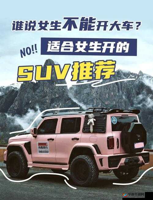 性能高的女性 SUV：畅享极致驾驭与优雅风范