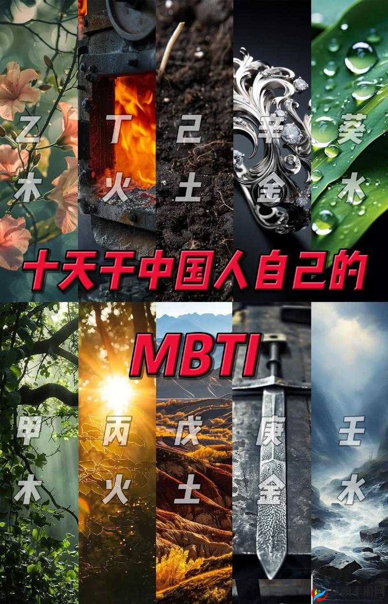 xxx 中国人 WWW 有多好：探寻其背后的优秀特质与魅力