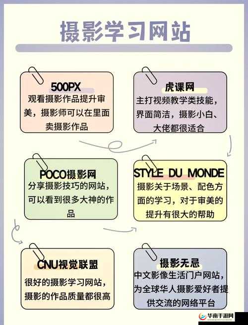 十大免费网站推广：揭秘最实用的推广方法与技巧