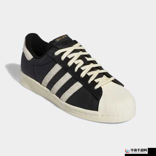 三叶草 gy3251 独特魅力与精彩呈现