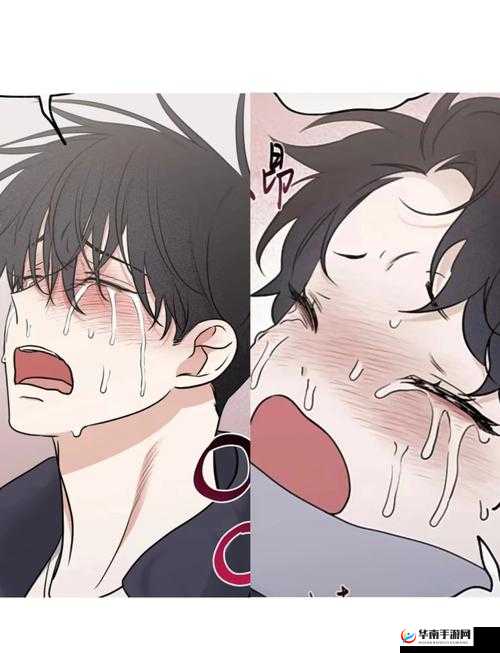 小哭包在 1v2 中邂逅晚风来的情感纠葛