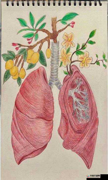 98 大胆人体艺术：探索身体之美与艺术的交融