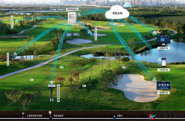 智能灌溉系统 BY 应照离：科技助力农业现代化