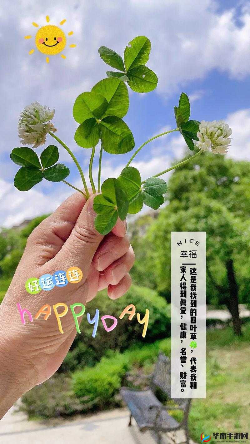 成品人和精品人的区别四叶草：深度剖析其背后的差异与价值