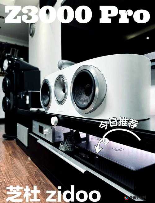 国产最好的高清播放机：带来极致视听体验的优质之选