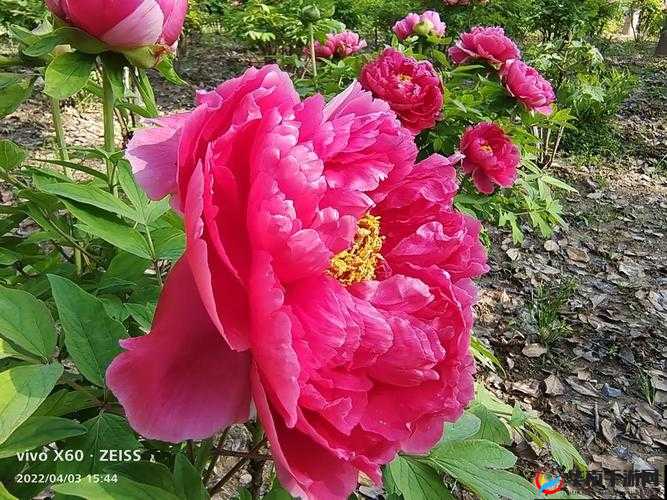 国色天香精品一卡 2 卡 3 卡 4 带来极致视觉盛宴