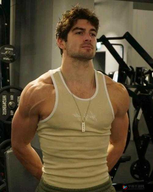 亚洲猛男 gay1069：探索男性魅力的多元世界