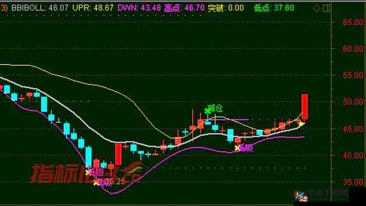 天天黄金片 WWW ：开启财富增值的黄金通道