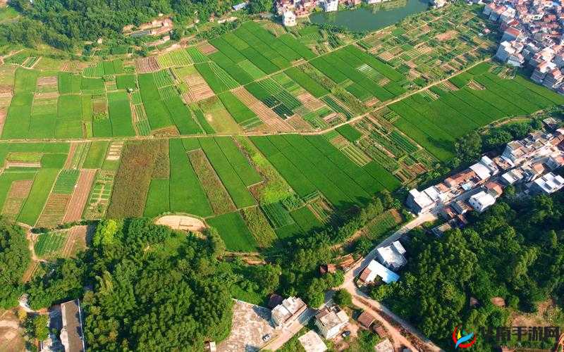 天美麻花星空免费观看乡村版：独特乡村视角呈现别样精彩