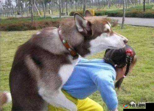 人和狗交配 MBA：超越伦理的商业教育？