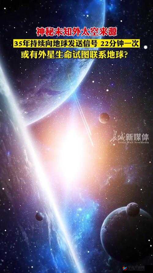 黄色入口：探索未知的神秘领域