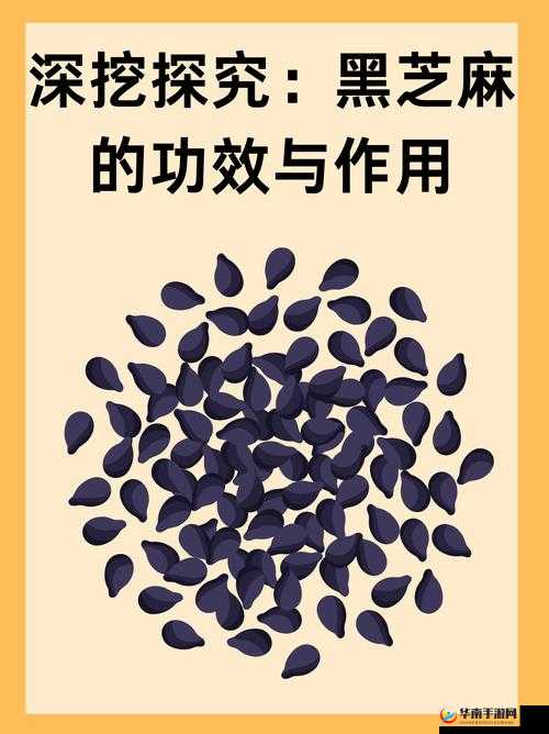 hIwbet 黑料网：深挖揭秘，带你走进不为人知的世界
