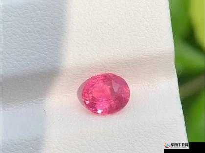 粉色视频苏晶体结构iso：关于其深入研究与详细分析探讨