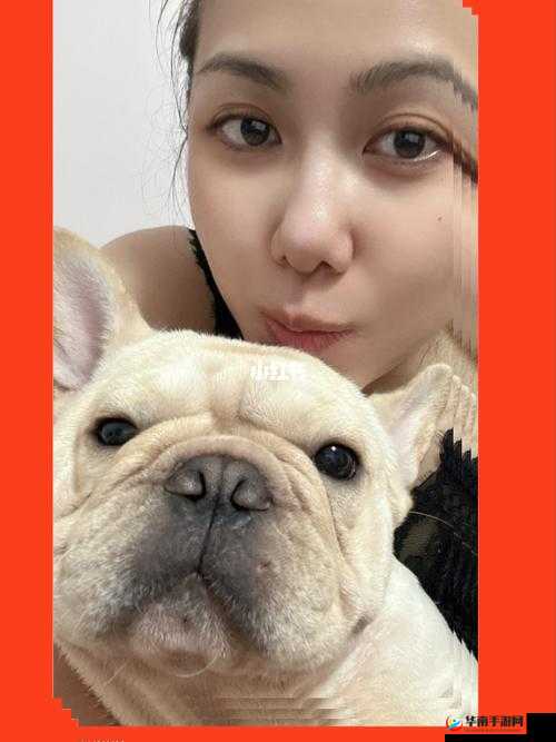 ZoomDog 视频拍摄地独特魅力呈现