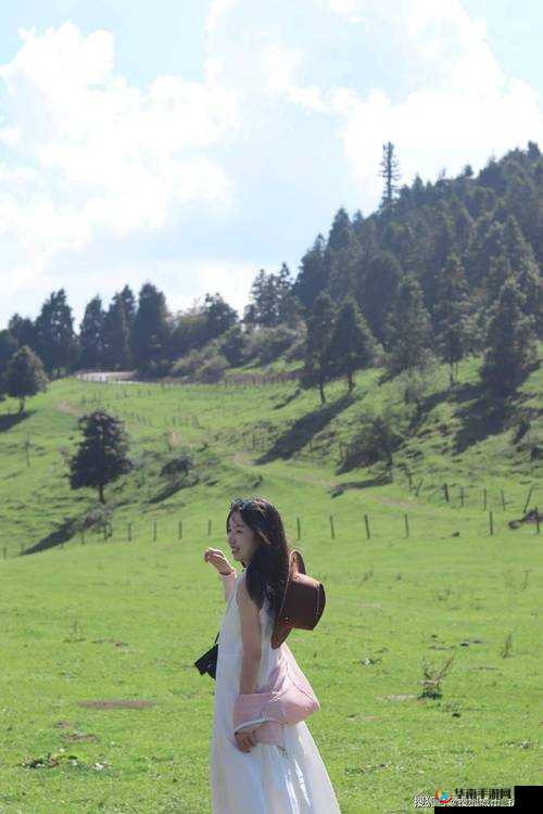 畅享高清无码视频在线观看绝佳体验