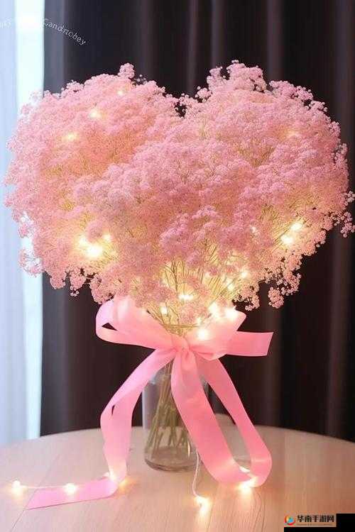 完美妻子满天星——诠释幸福婚姻的典范