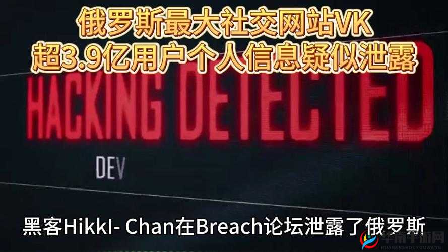 俄罗斯 ZOOM 人：科技与社交的奇妙融合