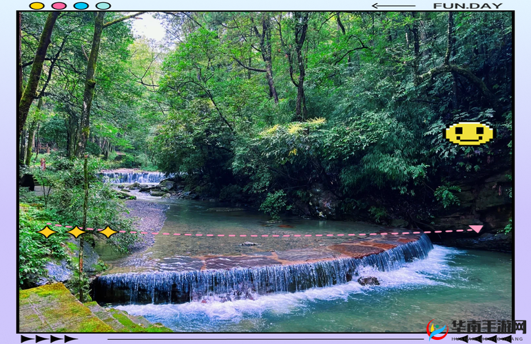 幽谷里的神秘触感：舌头为何滑来滑去