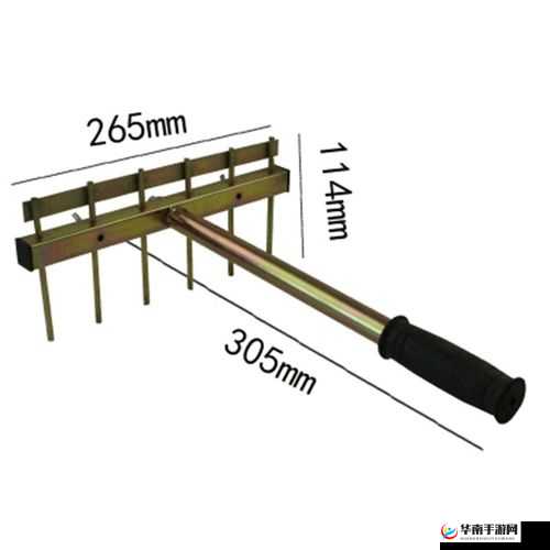 在 305.land 继续洗澡：婷，带你体验不一样的感觉