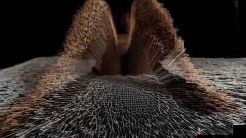 191 成人黄片在线免费观看：高清无码，畅享激情