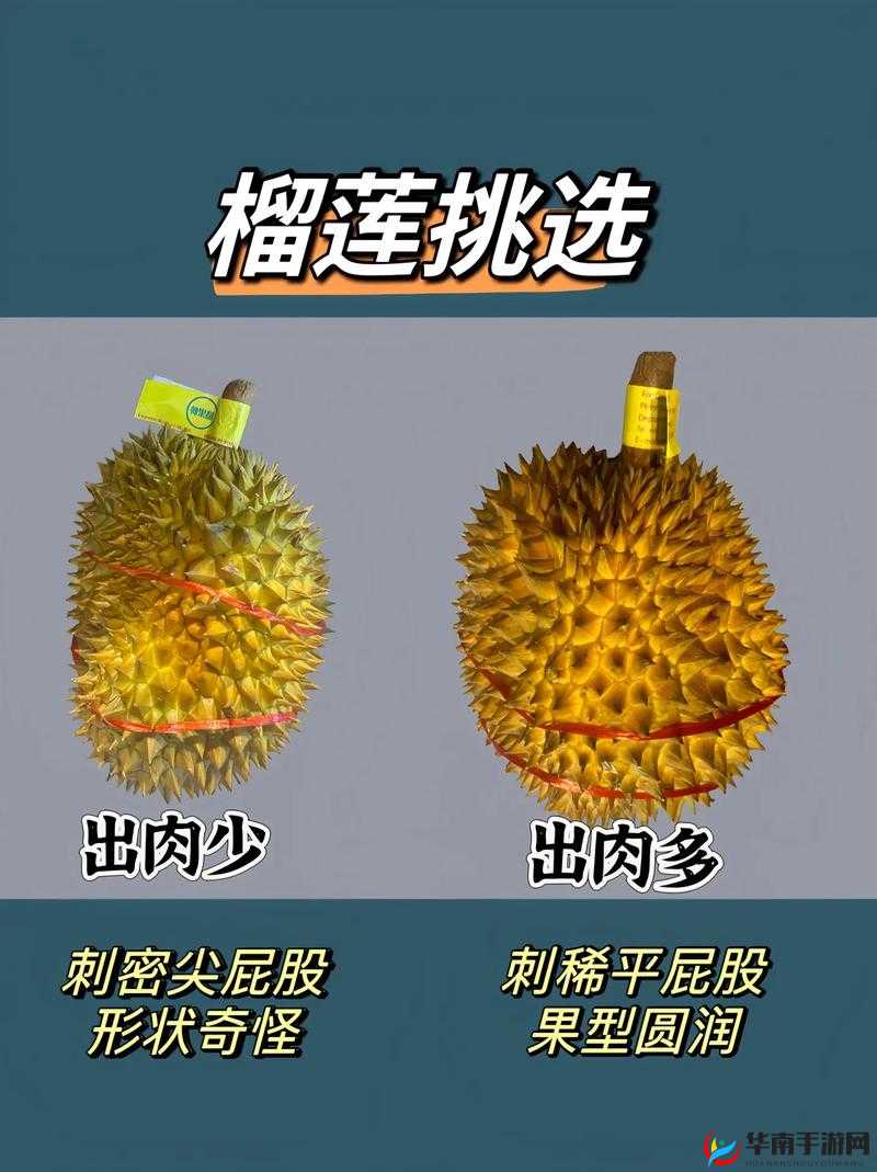 茄子丝瓜草莓榴莲石榴的奇妙组合与美味探索