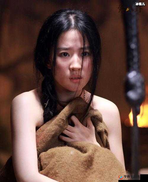 刘亦菲三级片：探究其背后的真相与影响