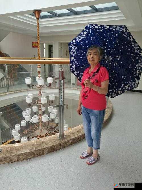 沈阳老阿姨最后的巅峰爆料大批新视频精彩呈现