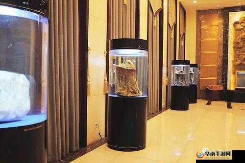 藏精阁一区二区：打造独特文化与艺术的神秘领地