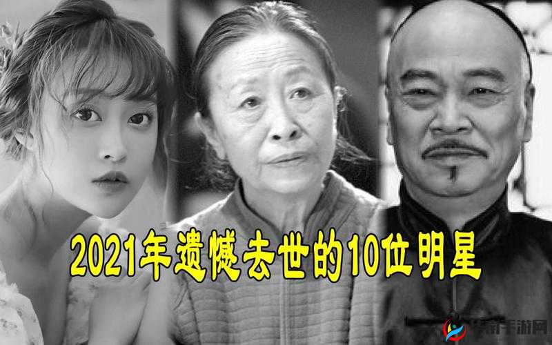 在车里撞人的惊心动魄剧情介绍以及背后的隐情