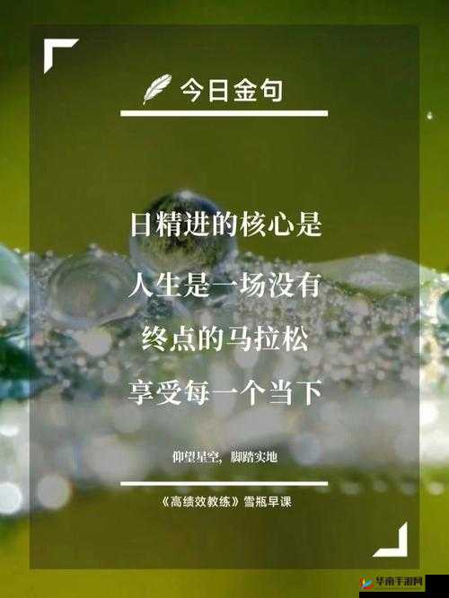 日日精进久久为功：持续努力铸就非凡成就之路