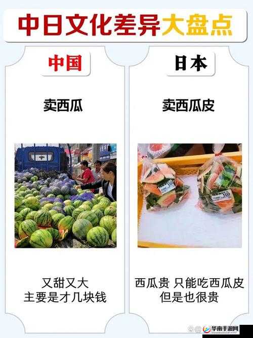 美国欧洲日本中国的文化差异之比较与解析及其影响探讨