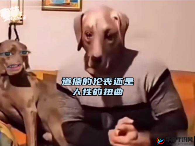 美国 ZOOM 人狗视频：是人性的扭曲还是道德的沦丧