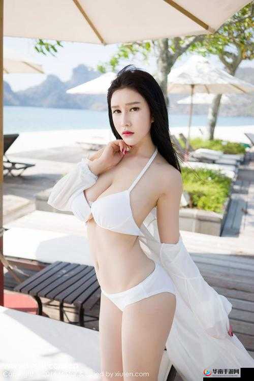 菠萝菠萝蜜免费观看影视：提供海量精彩影视资源