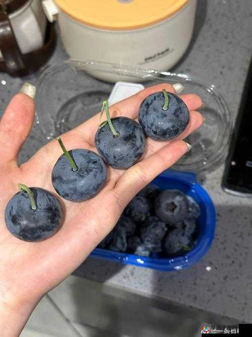 粉色～你 TM 别 了蓝莓：那一抹独特的色彩与奇妙体验