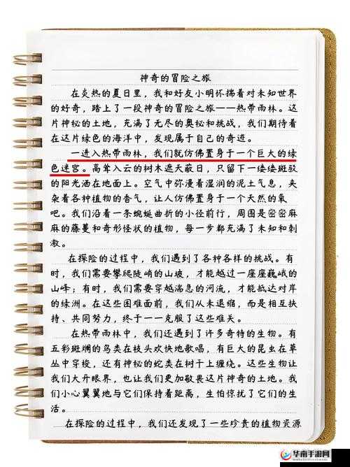 印度人 XXX69 与他的神奇冒险之旅及独特经历