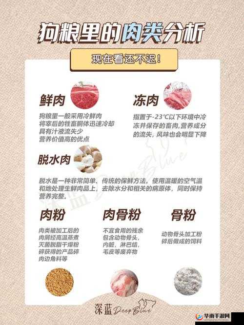 肉食家庭食取报告 1-樱花 对不同肉类选择与食用习惯分析