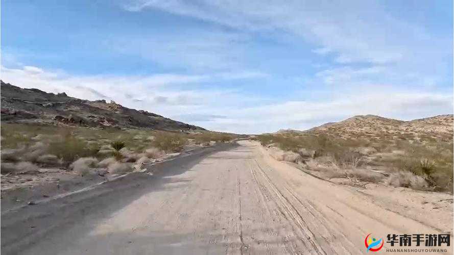 铿锵锵锵锵海外：探寻异国他乡的奇妙之旅与精彩见闻