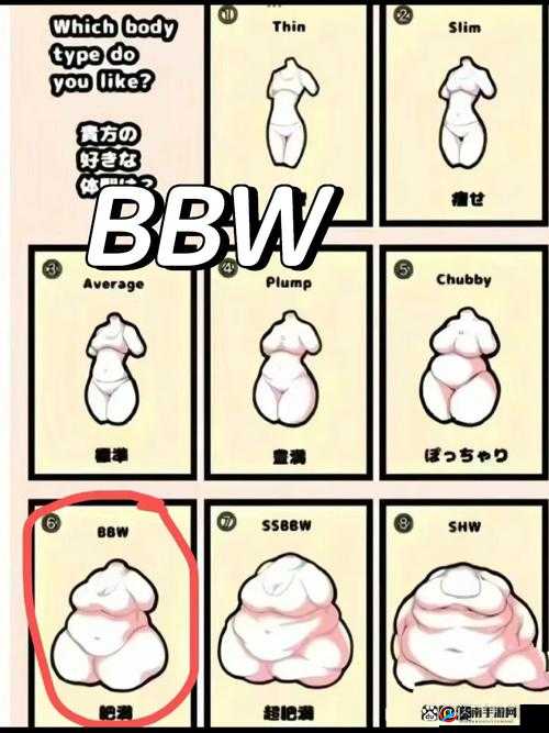 肥妇 BBw 搡 BBw 搡 BBw 激情小说：极致肉欲的碰撞演绎