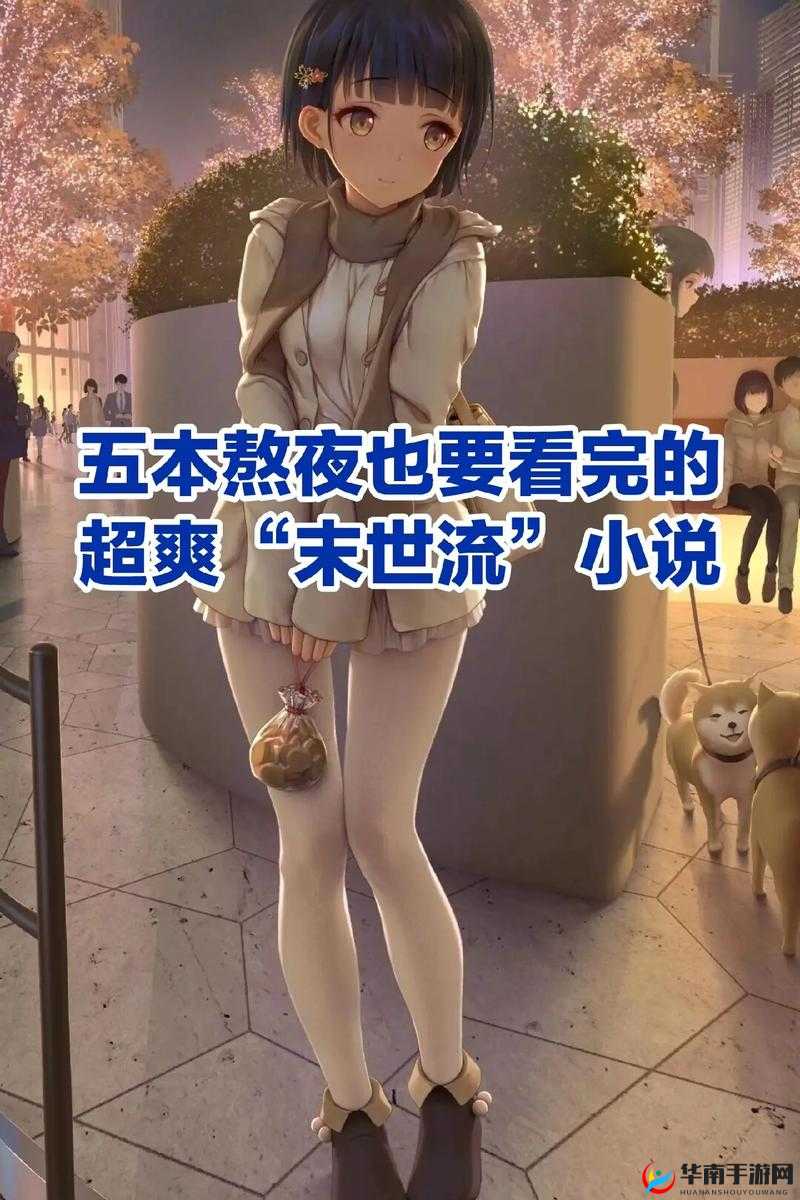 爽灬爽灬爽灬毛及相关 A 片小说之独特体验探讨