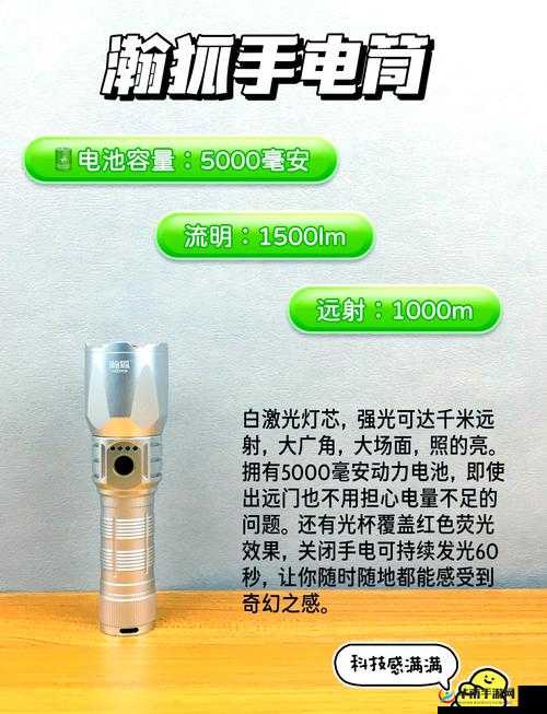 致命公司手电筒怎么买：全面解析购买指南与技巧