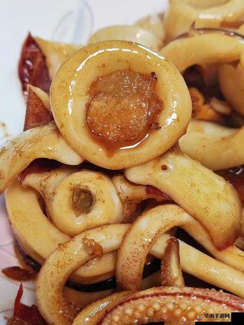 BY72777 鱿鱼官网换哪了究竟发生了什么